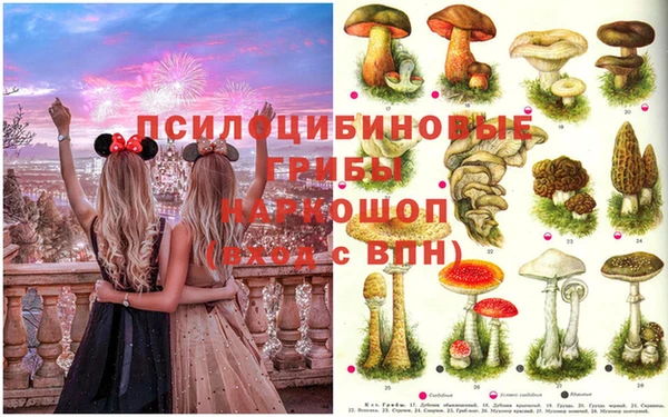 метадон Фёдоровский