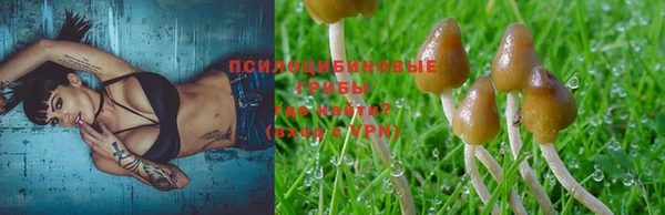 дмт Навашино