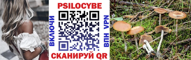 Галлюциногенные грибы Cubensis  Котово 